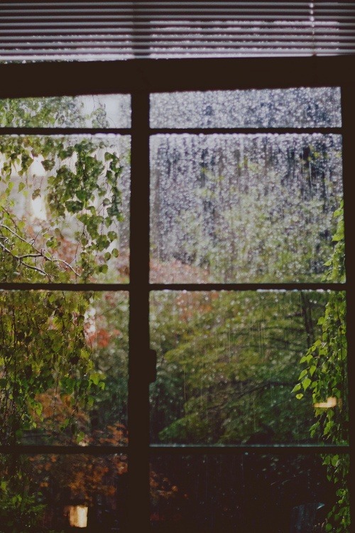 coffee-and-wood:It’s a rainy day again … thunder every moment :)
