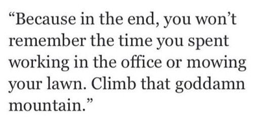 kushandwizdom:  Quote Lounge