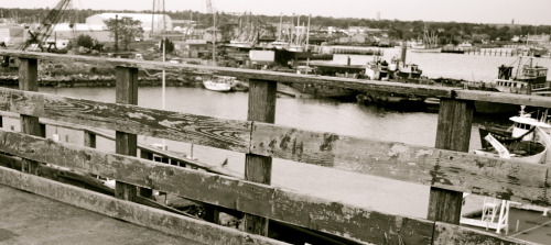 ptrundy:  Waterfront. NB, Ma. 