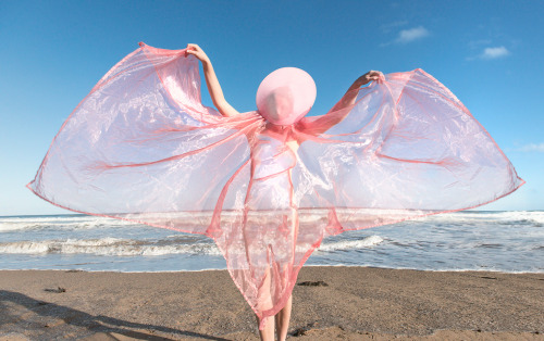 Prue Stent (Australian, b. Sydney, Australia, based Melbourne, Australia) - Untitled from Pink serie