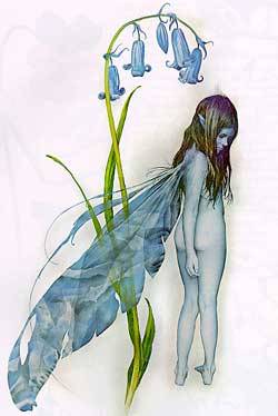 deroliman:  Brian Froud
