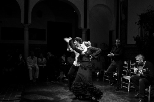 timewelllost:  Flamenco Sevilla, Spain 2013 