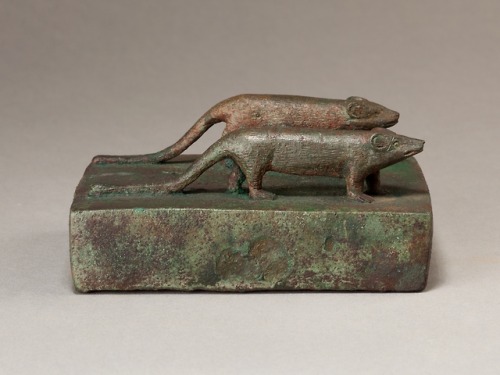 Two Egyptian mongooses atop a shrine-shaped box, intended to hold an animal mummy.  Artist unknown; 