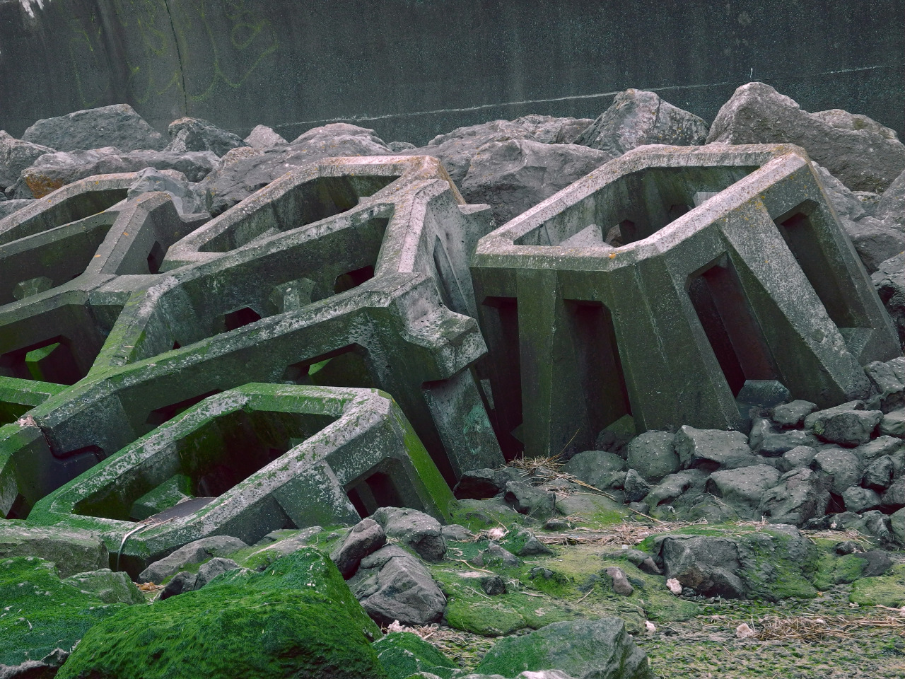 scavengedluxury: New Brighton beach. March 2015. 