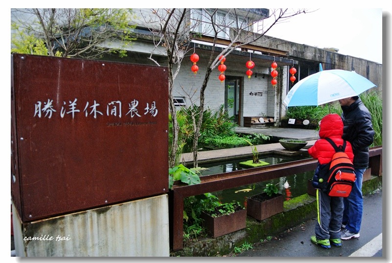 嘎眯不搗蛋 水草瓶diy 竹筏體驗鮮 勝洋水草 嘎眯不搗蛋 水草瓶diy 竹筏體驗鮮 勝洋水草