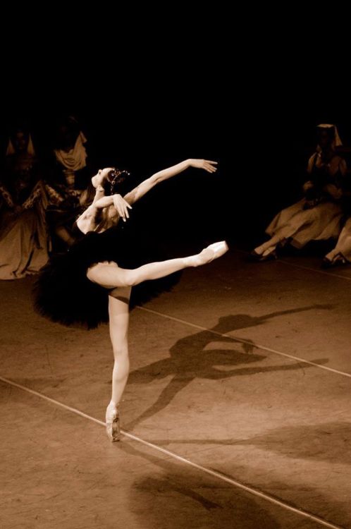 galina-ulanova:Ulyana Lopatkina as Odile in Swan Lake (Mariinsky Ballet)