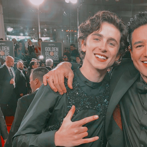 timothée chalamet at the golden globes 2019 icons if it wasn’t it obvious, he dese
