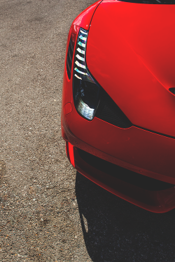 wearevanity:  Red Speciale ©  