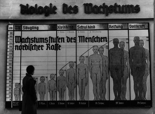 A public propaganda poster on display in Nazi Germany, titled &ldquo;The Biology of Growth,&
