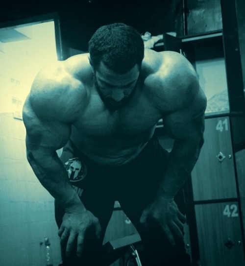 MUSCLE CORPS