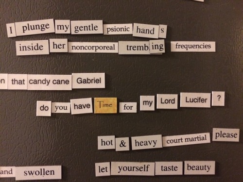 our house has four fridge poetry sets: erotic fridge poetry (gift from my mother), star trek fridge 