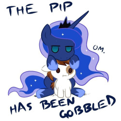 askradicalgoodspeed:  mlp-picturesaremagic: