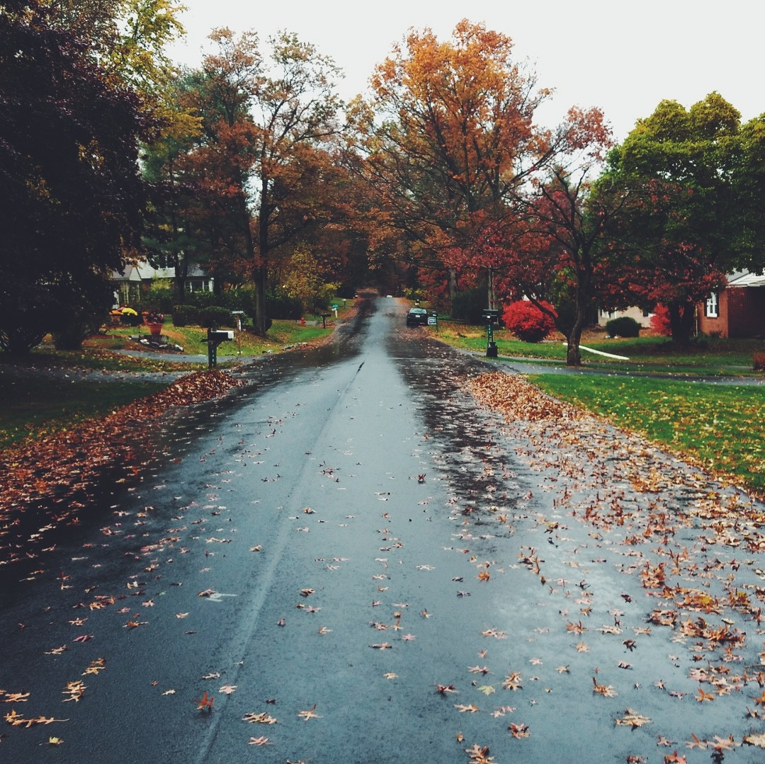 peacefulautumnleaves:  Autumn Vibes &lt;3