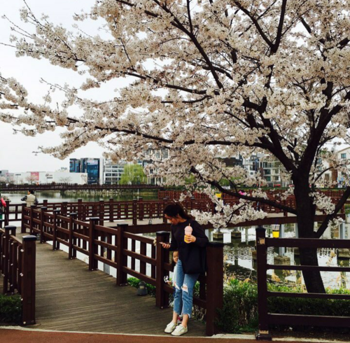 ppppyh83: ppppyh83:p&gt;안녕하십니까 30중반 20중반 부부입니다 네토끼가 있는데 아직 마누라에게 티를 못내봤네요. 네토는 커녕 야노도 찍어본적 없는 부부