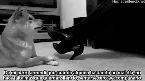 Hache de silencio