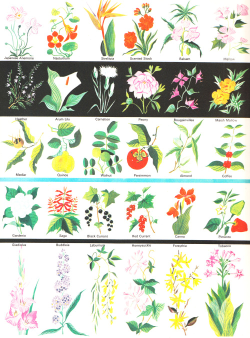 adelphe:Gardens Through the Ages by Marcelle Verite with illustrations by Elisabeth Ivanovsky, 1964