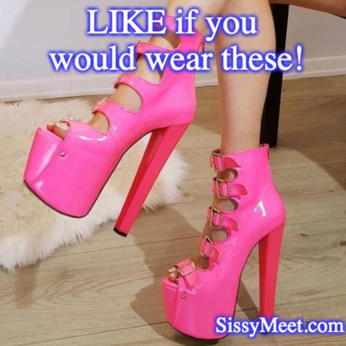 kymberlym7:sissyslutalice:  stpsap77:lacey-in-pink-prints:  A Sissy Must!   Definitely all of the above i want all of those heels   I love these shoes!!