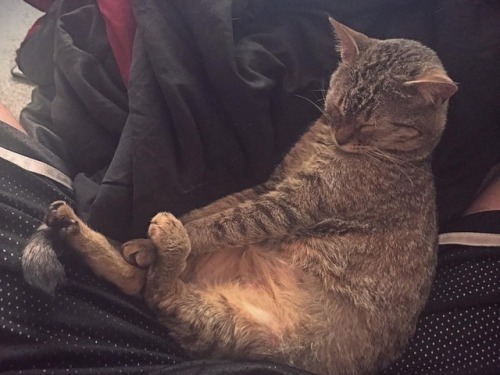 This little Motherfucker
