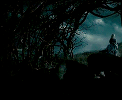 spieqels-blog:AU | dark shadows is a movie about ladies in a haunted house.