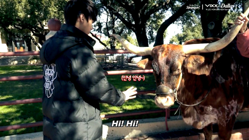 siampop-deactivated20150305:  hakyeon pls 
