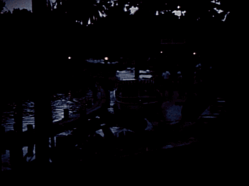 gameraboy:Turning on the lights at Disneyland. I especially love the Frontierland light switch! From