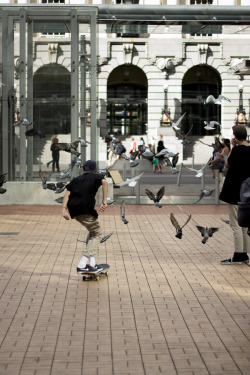 skate-foundation:  skate n urban