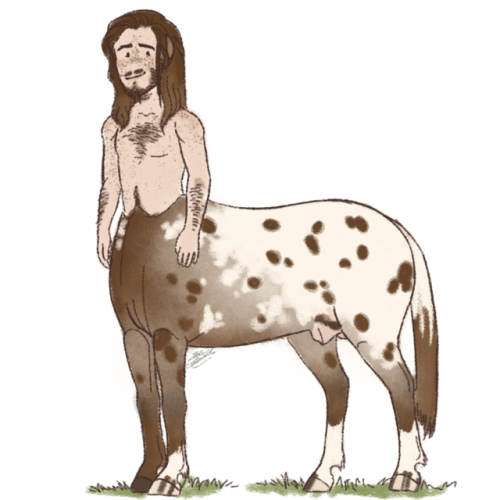 bowandbanjo: Oh hey, there’s my perfect little horse boy, Becky. I dont draw him much- but I love hi