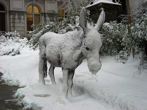 2good2bdrew:People like damn that’s a cold ass donkey