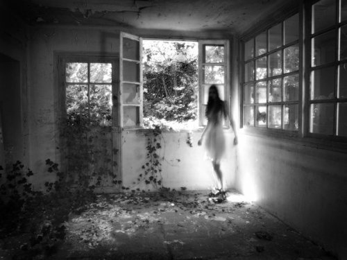 HP 7 by Feebrile