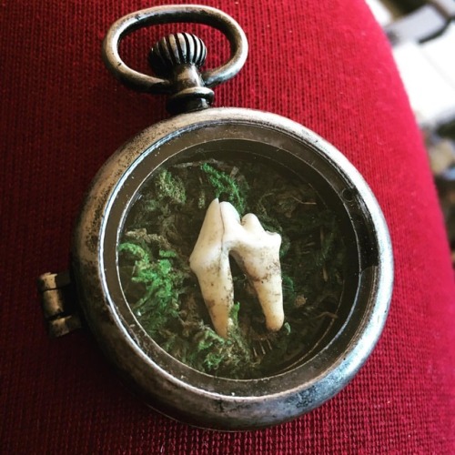 More cool oddities I’m making - this is a pocket watch, for display or put it on your favorite chain