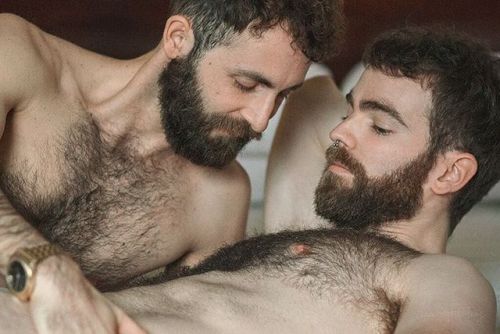 hairygingerman:beautiful hairy love