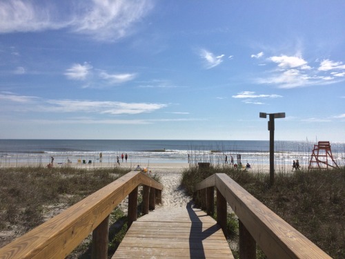 Beach Day!!!