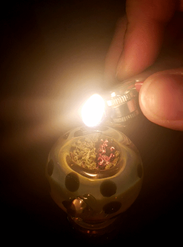 helianthus-spiritus:Release!