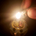 helianthus-spiritus:Release!
