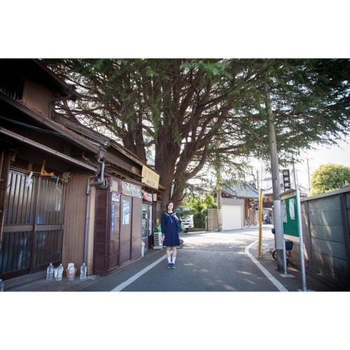 #portrait #photograph #photoshoot #japanese #japaneseview #schooluniform #girl #spring #架空荘 #kakuuso