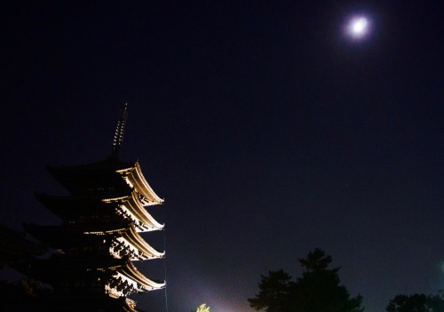 Kōfuku-ji (興福寺) at night, Nara