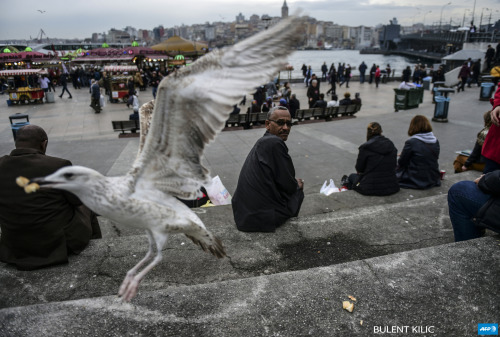afp-photo:  TURKEY, Istanbul - A seagull flies as people rest at Eminonu district in downtown Istanb