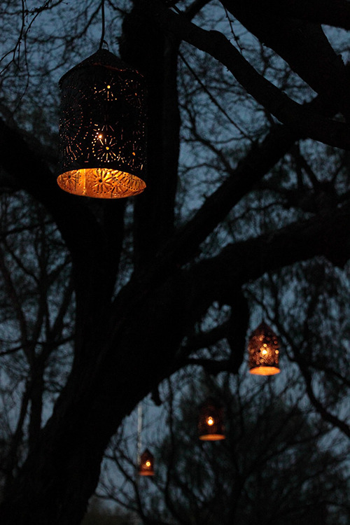 c1tylight5:  TREE LAMPS | ERNESTO VIRAMONTES 