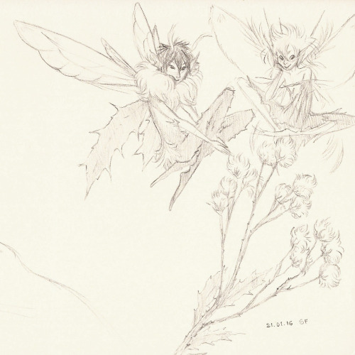 A Few More Plant Fairies, This Time Stinging Nettles And Some Unidentified Thistle-like Thing.Did You