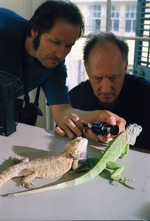 one-photo-day:Werner Herzog filming iguanas with Peter Zeitlinger on the set of Bad Lieutenant: Port