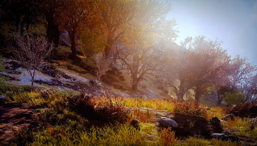 vaultgirl2077: Fallout 76 is gorgeous.