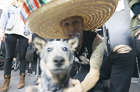 scarsandammunition:Green Day - Revolution Radio Tour