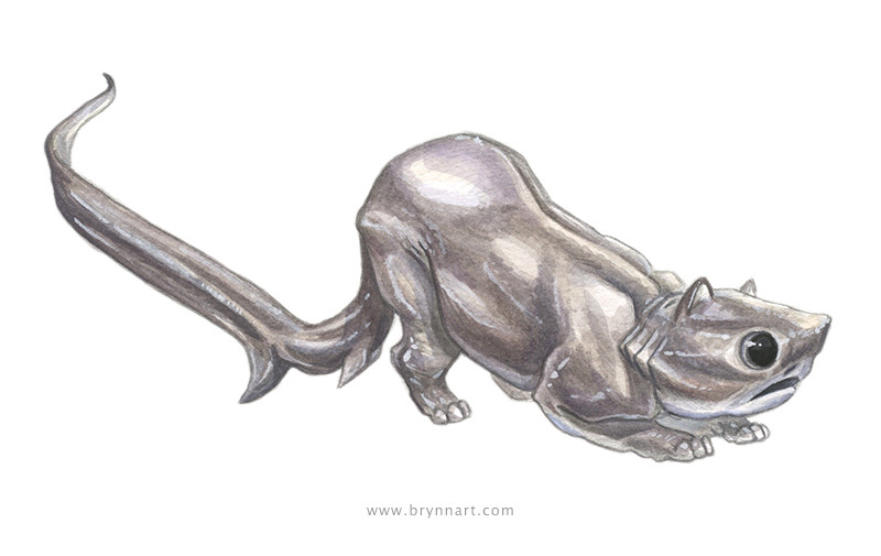 dr-archeville:  Shark Cats: Portraits of Terror by Brynn Metheney [source] Basking