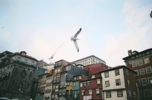 laiapallares:Porto, Portugal. August 2017.Camera: Pentax P30nFilm: Fujicolor C200 35mm