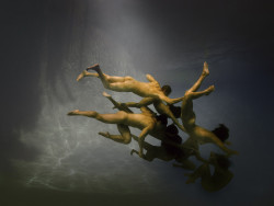 wetheurban:  Underwater, Ed Freeman From