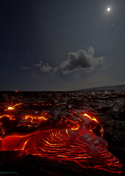 worl-d:  the lava fields of Kilauea (by seanpking)