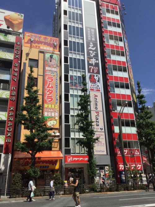 adaliprado:  Akihabara, Japan. あきはぱら  東京  日本！ 