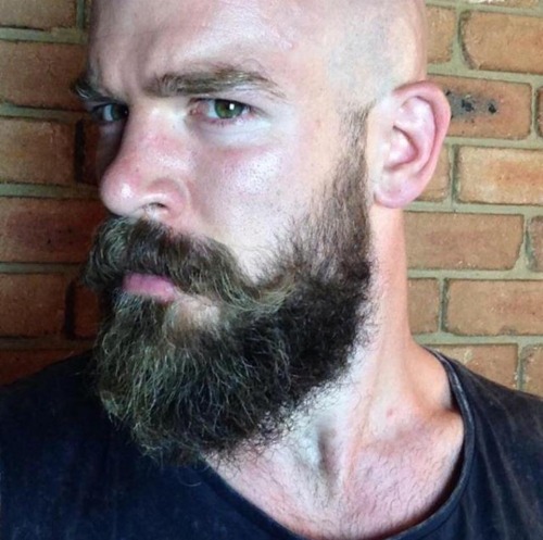 scruffy JIZZ monkey!