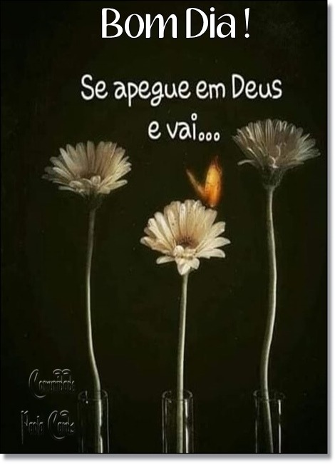 b7b872b8dc8f70befd2090f63fdb1707b837ebe1