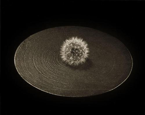 iamjapanese:TAIRA Ryuji（平竜二 Japanese, b.1960）﻿Platinum Palladium Print on Japanese Gampi Paper   via